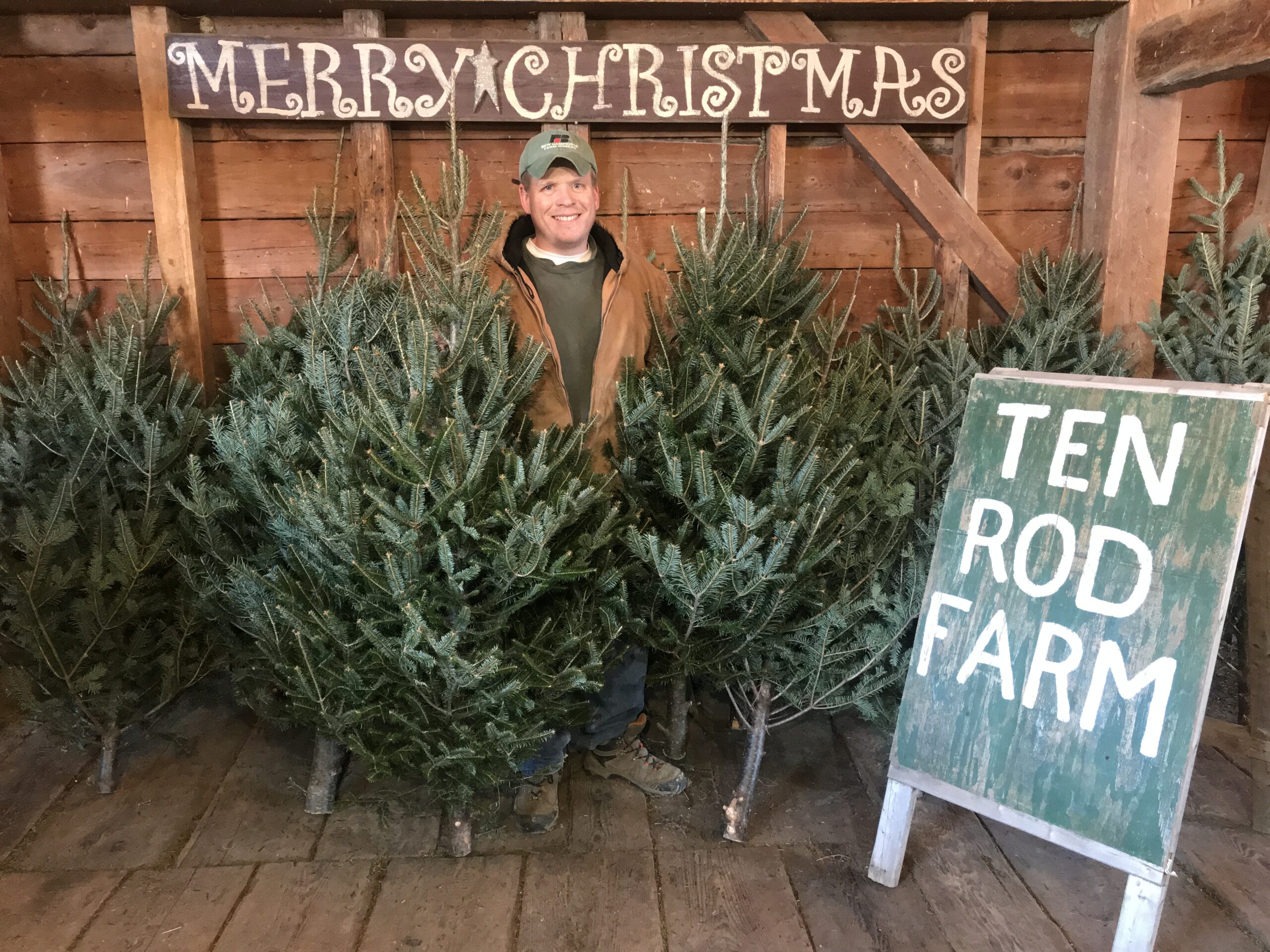 Free Christmas Tree to Needy Seacoast Families