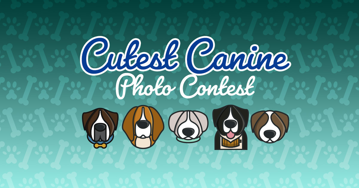 Cutest Canine Photo Contest: Win a Week’s Worth of Doggy Daycare at The K-9 Club!