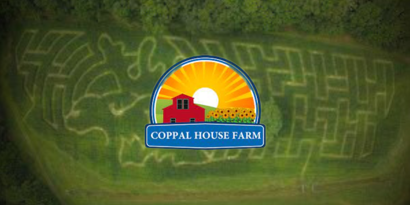 Win a Family Pass to the Corn Maze at Coppal House Farm