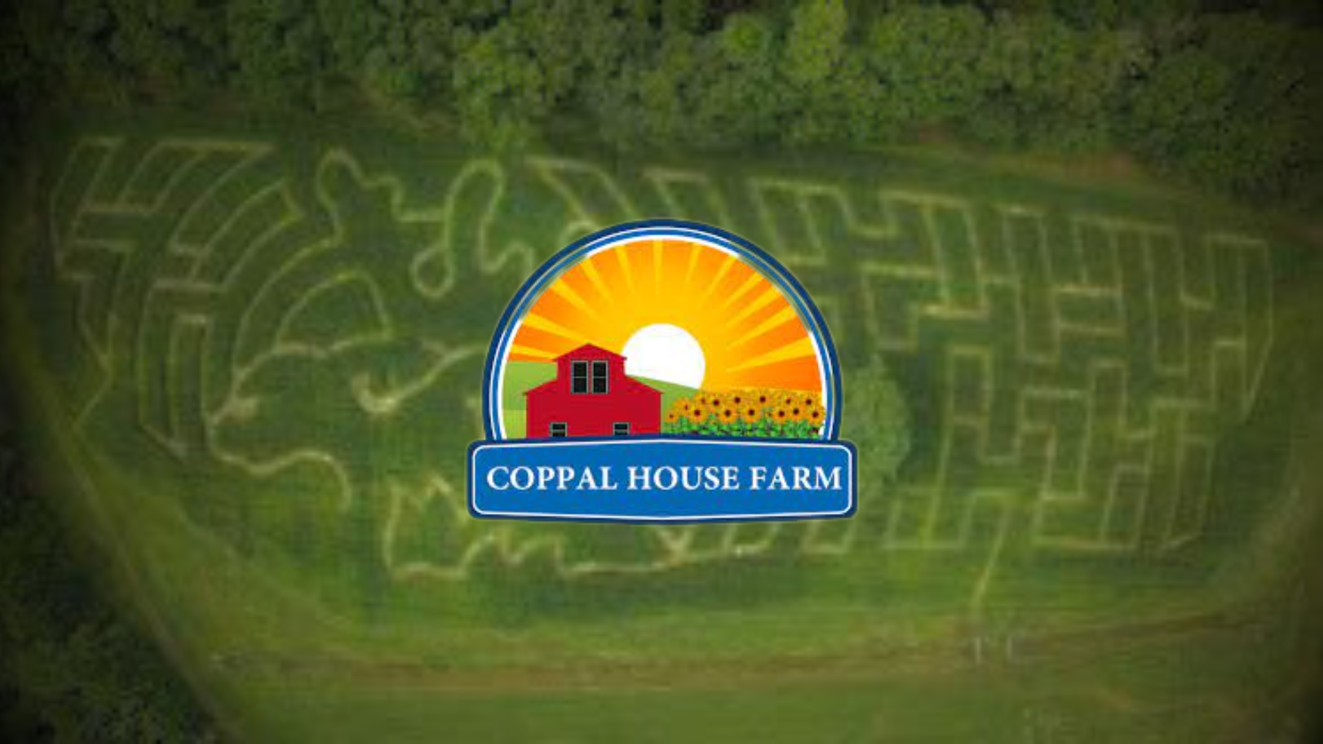 Win a Family Pass to the Corn Maze at Coppal House Farm