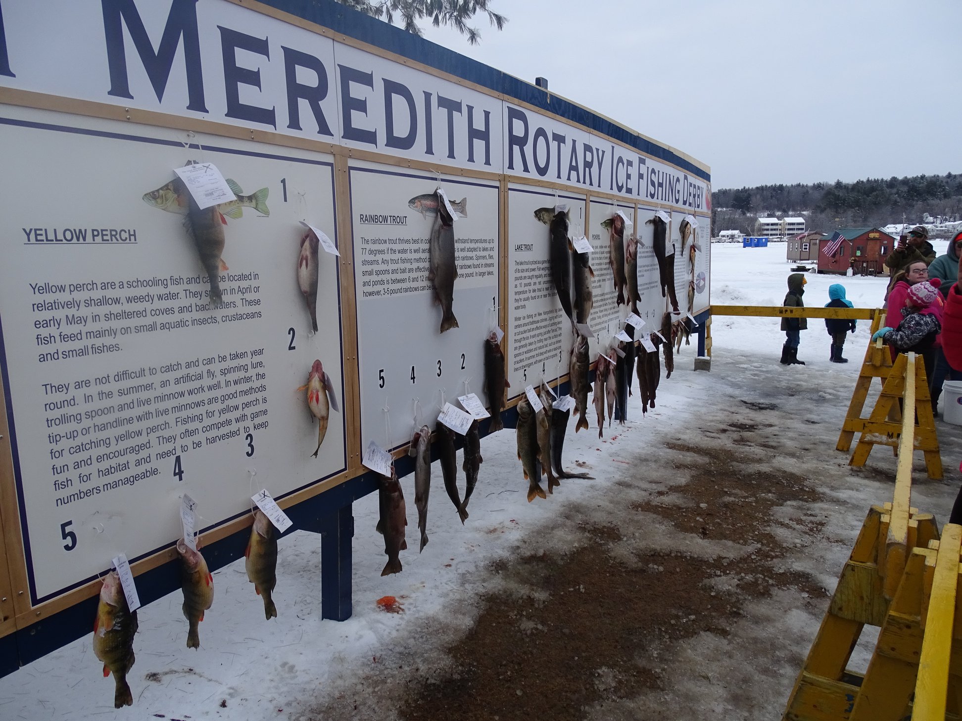 Join Us at the Great Meredith Rotary Ice Fishing Derby February 12-13